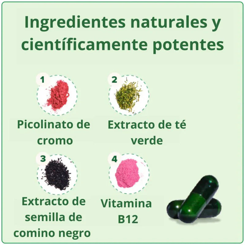 Moto Metabolism Cápsulas Veganas